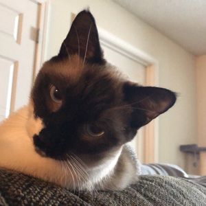 Meet your Posher, Christina